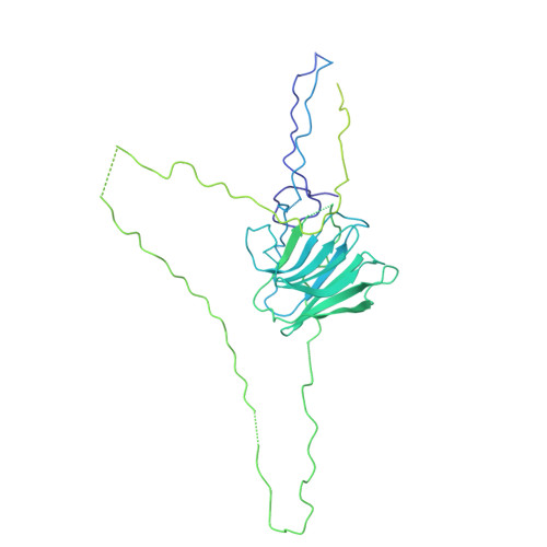 Structure 26GP
