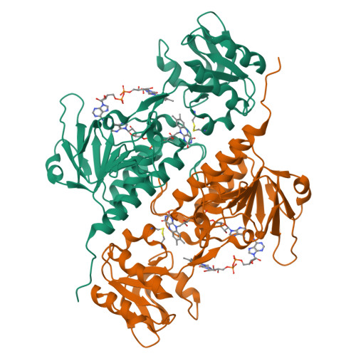 Structure 26HG