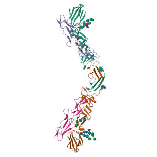 Structure 26NN