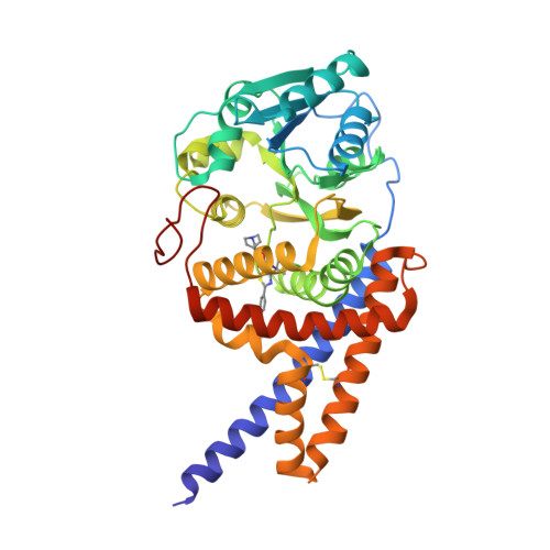 Structure 26QI