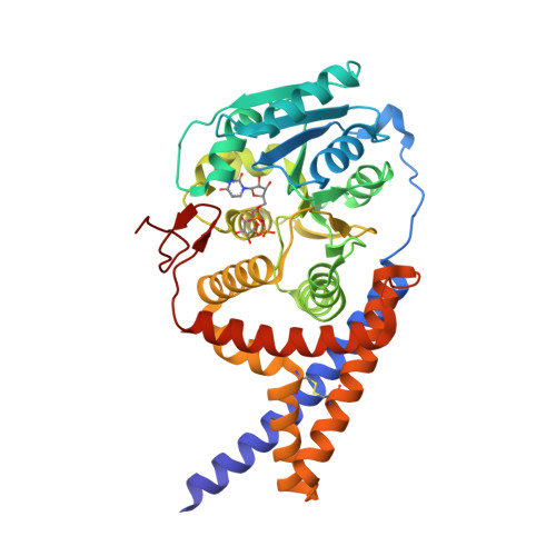 Structure 26QS
