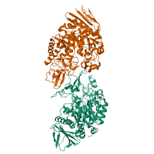 Structure 26SI
