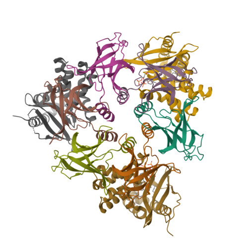 Structure 26TP