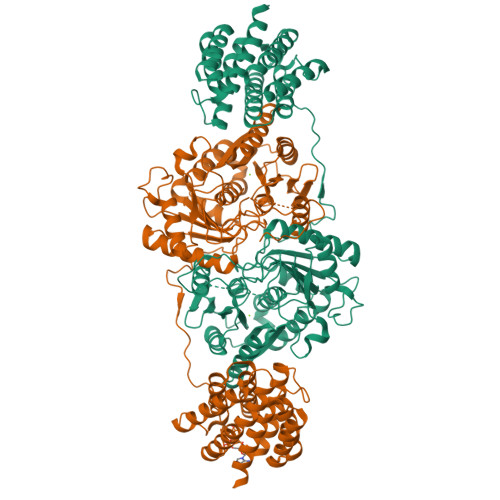 Structure 26VK