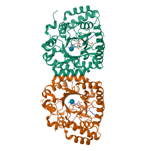 Structure 26WE