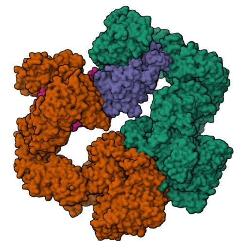 Structure 26ZN
