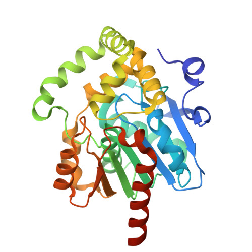 Structure 27CT