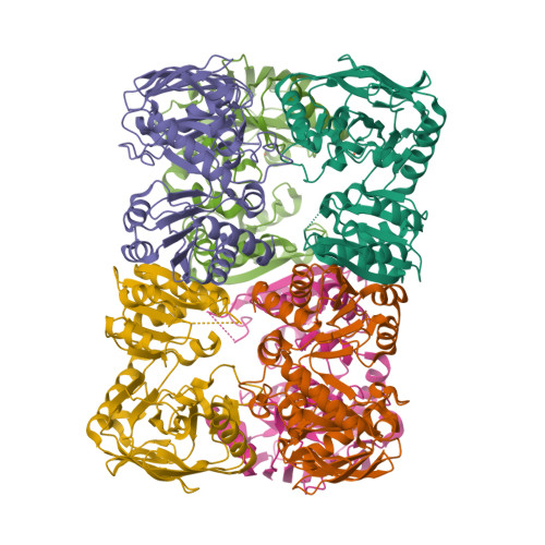 Rcsb RCSB PDB - 27DQ: Crystal structure of HPO from Pseudomonas