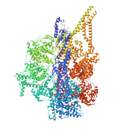Structure 27PZ