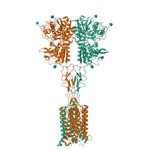 Structure 27TM