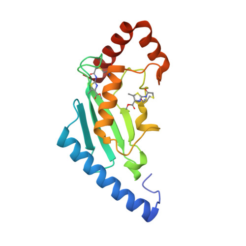 Structure 27WI