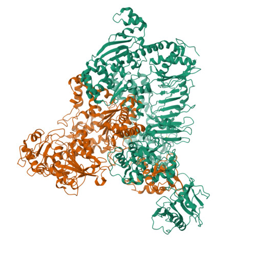 Structure 27ZK