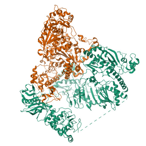 Structure 27ZR