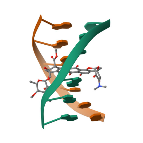 Double-stranded DNA conformations of d(GGGCCC) 2 . Structures of