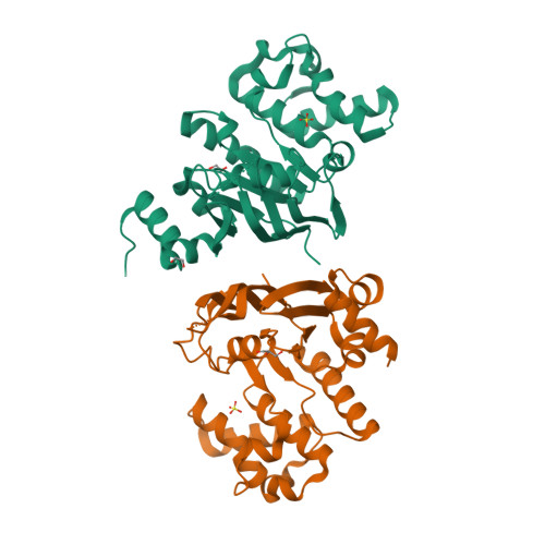 Structure 28CW