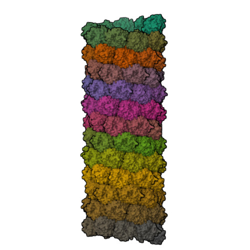 Structure 28EP
