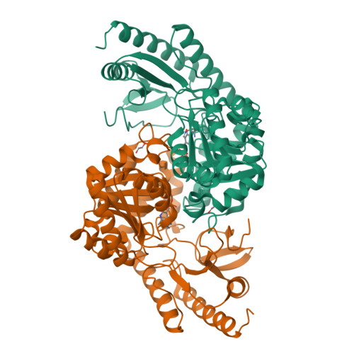Structure 28FA