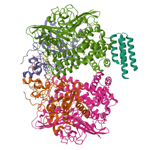 Structure 28FU