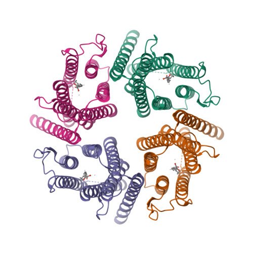 Structure 28HY