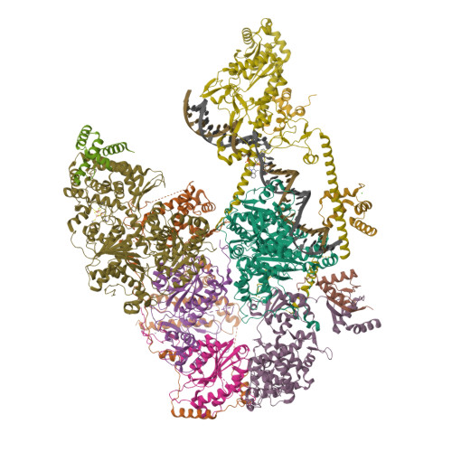 RCSB PDB - 28JS: Cryo-EM structure of the human holo-TFIIH-XPC complex ...