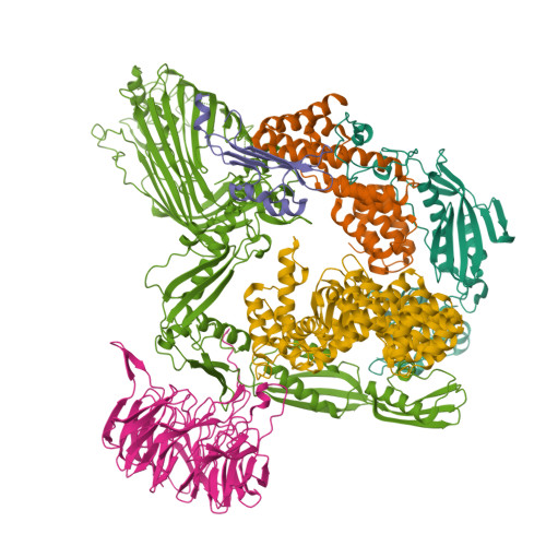 Structure 28JU