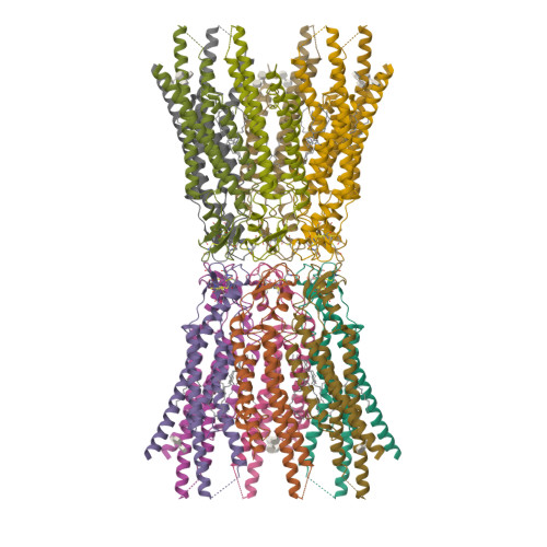 Structure 28ME