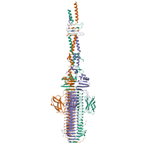 Structure 28MG