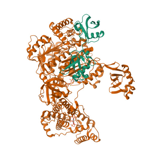 Structure 28MJ