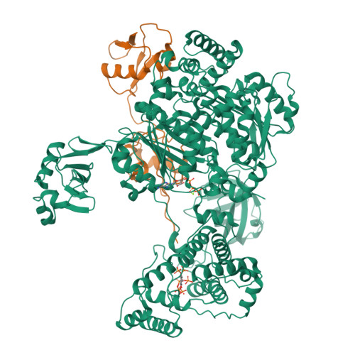 Structure 28MK