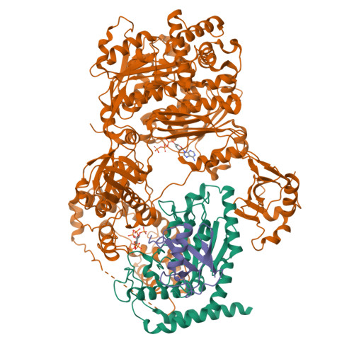 Structure 28MO