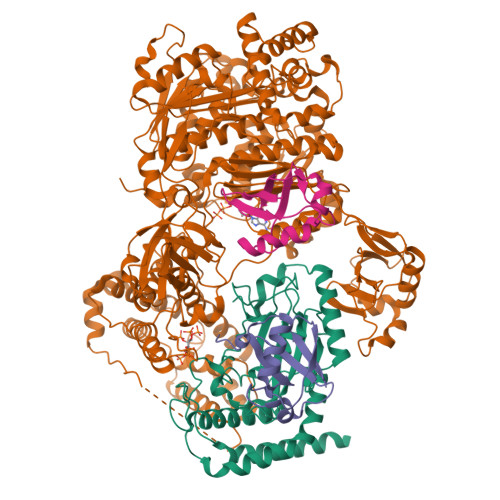 Structure 28MP