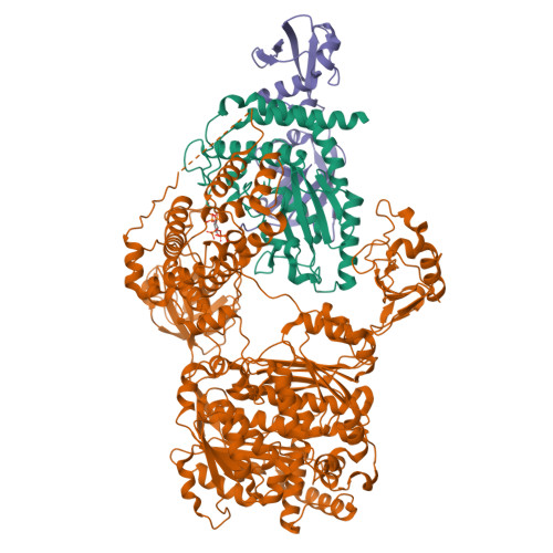 Structure 28MQ
