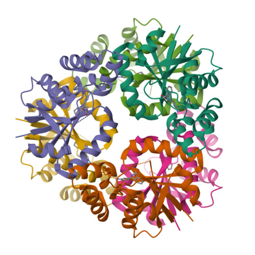 Structure 28NK
