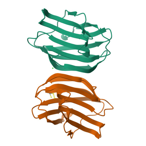 Structure 28NM
