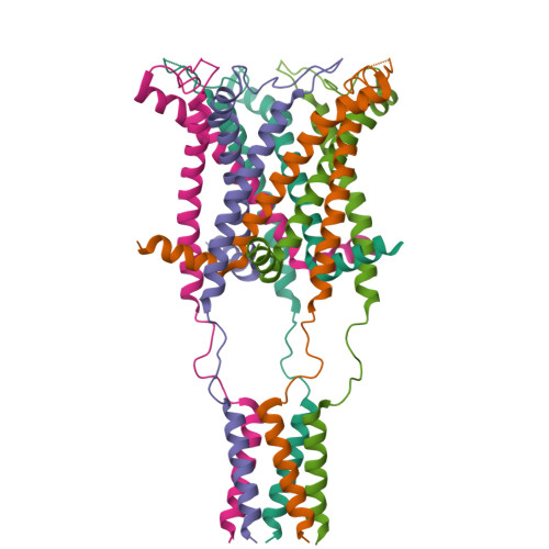 Structure 28OB