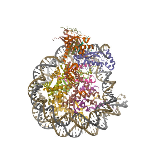 Structure 28OE