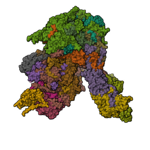 Structure 28RF