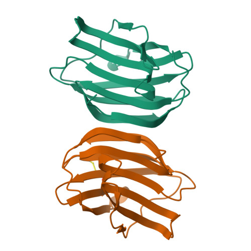 Structure 28RK