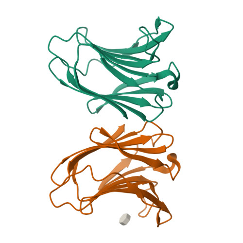 Structure 28RL