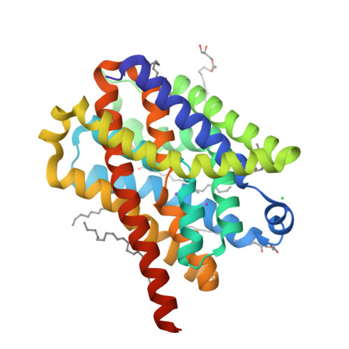 Structure 28SV