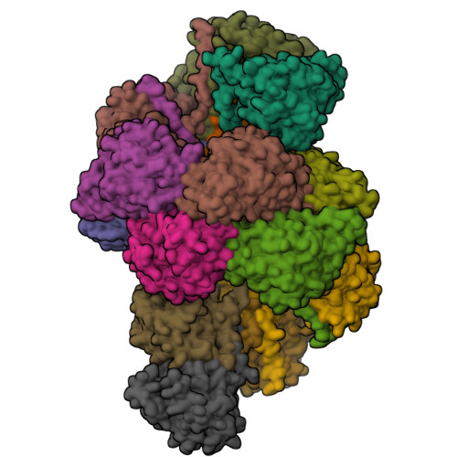Structure 28TO
