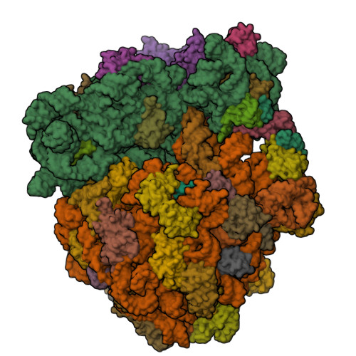 Structure 28UI