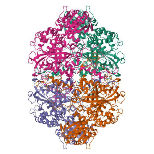 catalase structure catalase (katalase) kopen? Images... RCSB PDB - 28WU: Crystal Structure of Catalase HPII (KatE) from ...