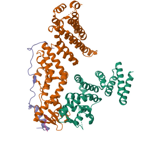 Structure 28XA