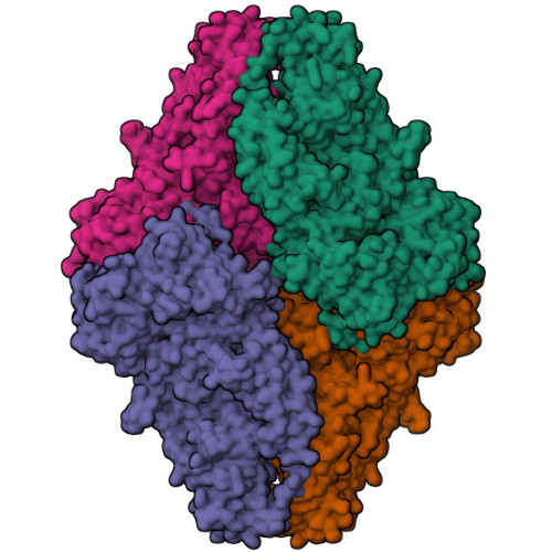 Structure 28YO
