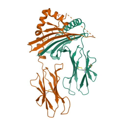 Structure 28ZB