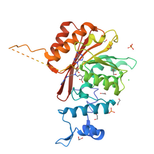 Structure 28ZC