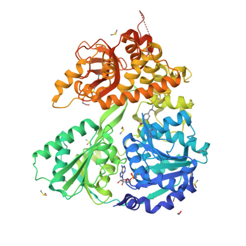 Structure 28ZJ