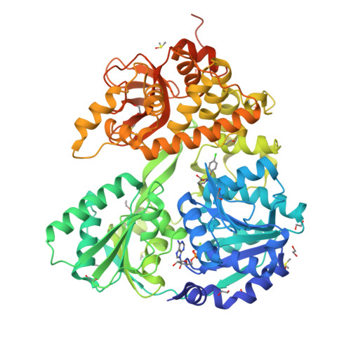 Structure 28ZK