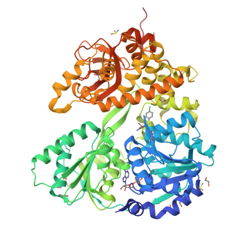 Structure 28ZL
